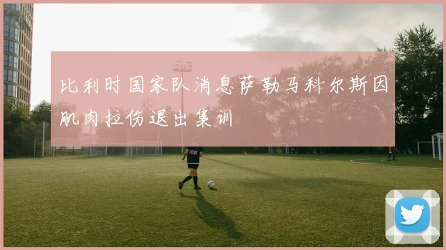 比利时国家队消息萨勒马科尔斯因肌肉拉伤退出集训